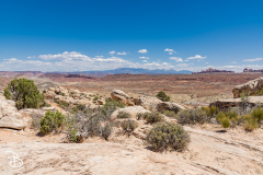 arches-2026-15