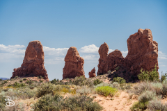 arches-2026-20