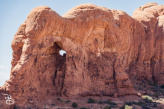 arches-2026-26