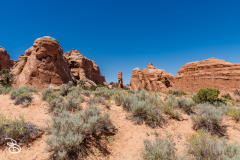 arches-2026-3