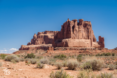 arches-2026-38