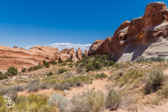 arches-2026-4