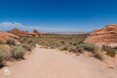 arches-2026-5