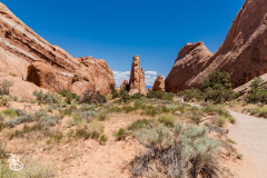 arches-2026-7