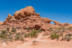 arches-2026-8