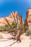 arches-2026-9