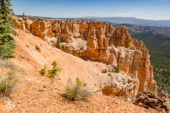bryce-canyon-2026-10