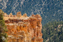 bryce-canyon-2026-12