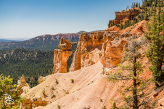 bryce-canyon-2026-19