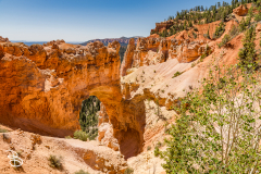 bryce-canyon-2026-20