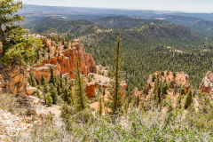 bryce-canyon-2026-21