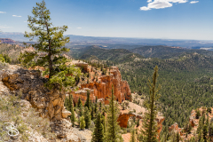 bryce-canyon-2026-23