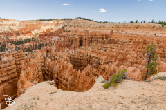 bryce-canyon-2026-37