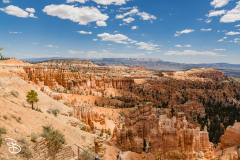 bryce-canyon-2026-38
