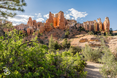 bryce-canyon-2026-39