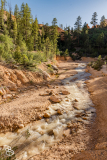 bryce-canyon-2026-41