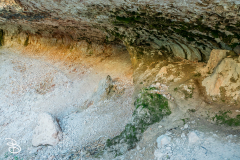 bryce-canyon-2026-44
