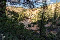 bryce-canyon-2026-45