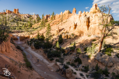 bryce-canyon-2026-46