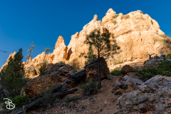 bryce-canyon-2026-48