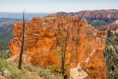 bryce-canyon-2026-9