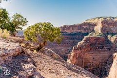 canyonlands-2026-13