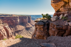 canyonlands-2026-14