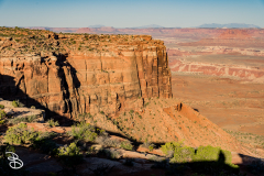 canyonlands-2026-6