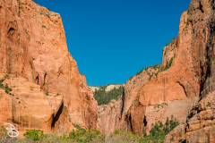 zion-kolob-canyon-2026-1