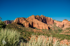 zion-kolob-canyon-2026-4