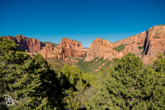 zion-kolob-canyon-2026-8
