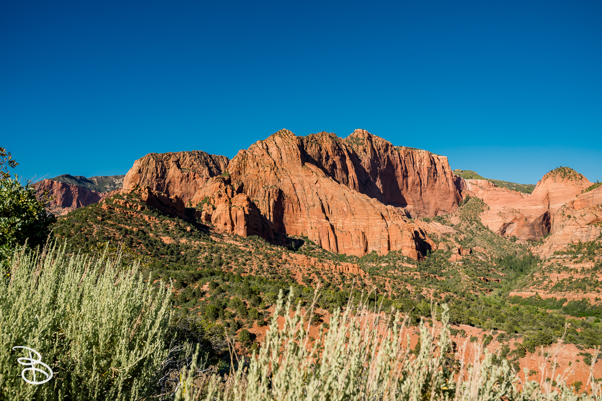 zion-kolob-canyon-2026-4