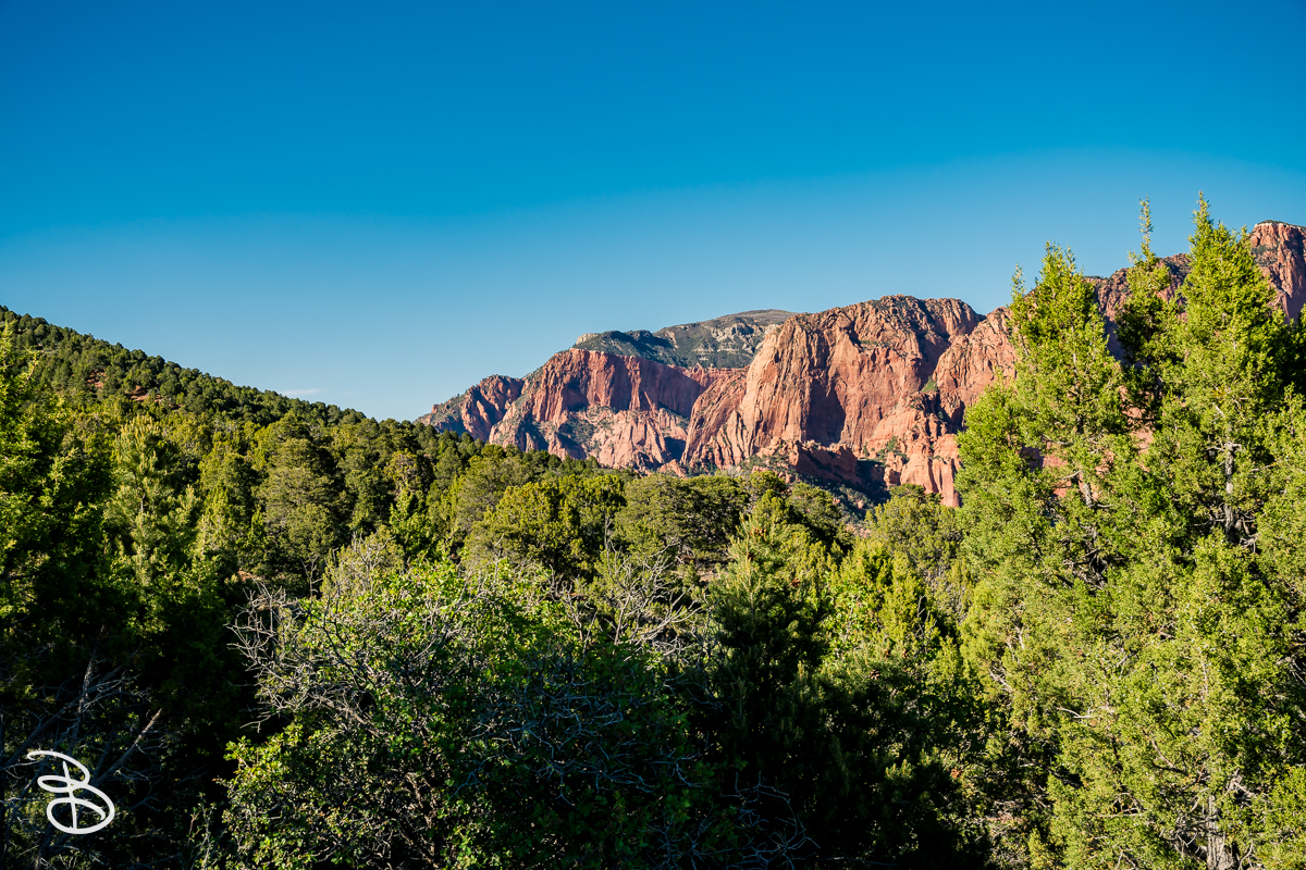 zion-kolob-canyon-2026-9