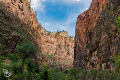 zion-2026-15