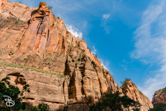 zion-2026-19