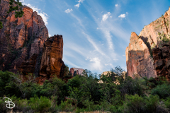zion-2026-2