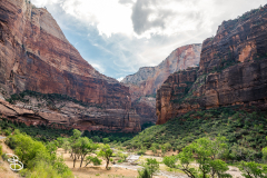 zion-2026-20