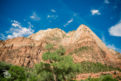 zion-2026-25