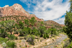 zion-2026-28