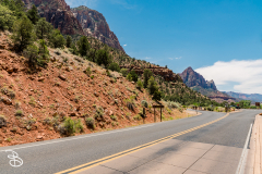 zion-2026-29