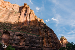 zion-2026-3