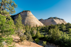 zion-2026-30