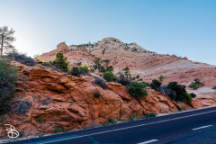 zion-2026-31