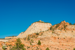 zion-2026-32