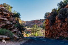 zion-2026-33