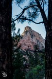 zion-2026-35