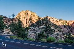 zion-2026-36
