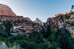 zion-2026-37