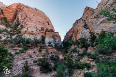 zion-2026-39