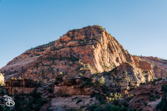 zion-2026-40